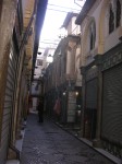dscn0847.jpg