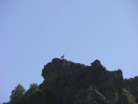 dscn0871.jpg