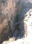dscn0874.jpg