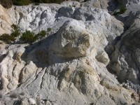 dscn0876.jpg