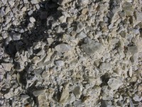 dscn0878.jpg