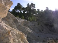 dscn0879.jpg