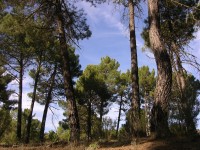 dscn0880.jpg
