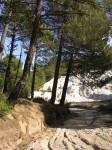 dscn0884.jpg