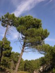 dscn0885.jpg