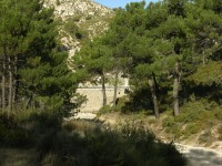 dscn0889.jpg