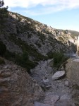 dscn0891.jpg