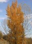 dscn0898.jpg