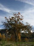 dscn0901.jpg