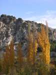 dscn0902.jpg
