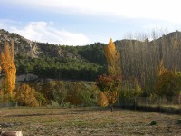 dscn0908.jpg