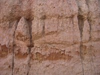dscn0919.jpg