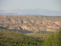 dscn0920.jpg