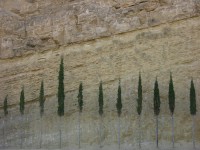 dscn0922.jpg