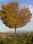 dscn0928.jpg