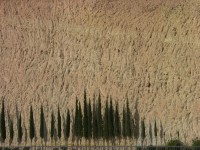 dscn0930.jpg