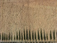 dscn0931.jpg