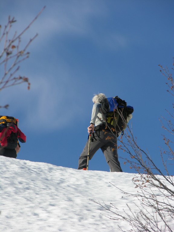 dscn4065.jpg