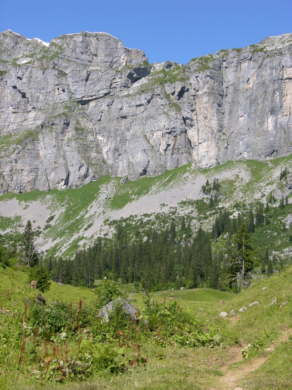 dscn0415.jpg