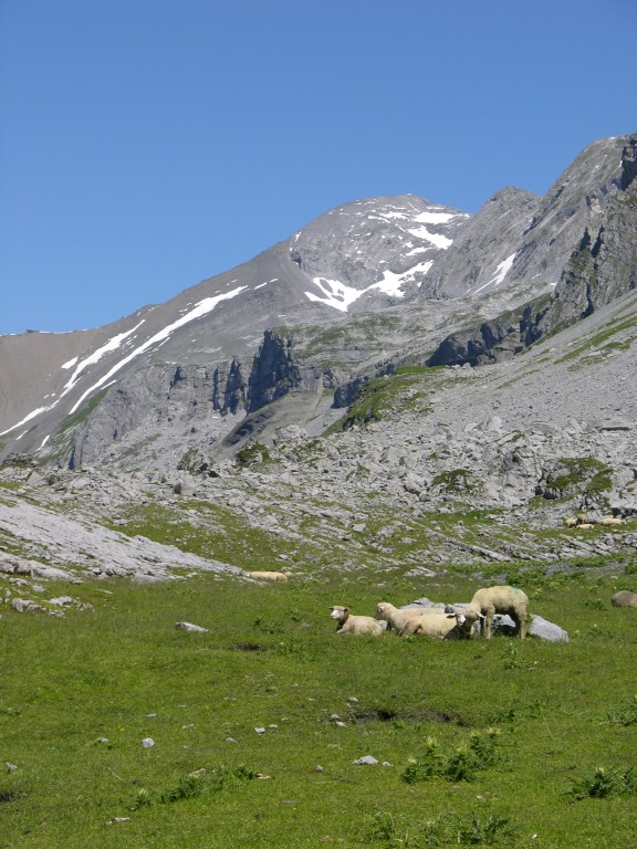 dscn0425.jpg