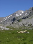 dscn0425.jpg