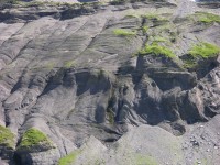 dscn0426.jpg