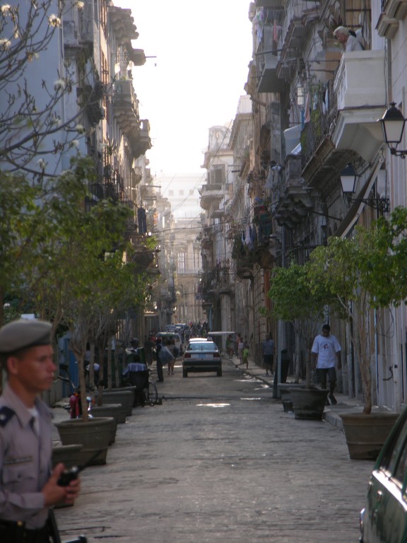 dscn4235.jpg