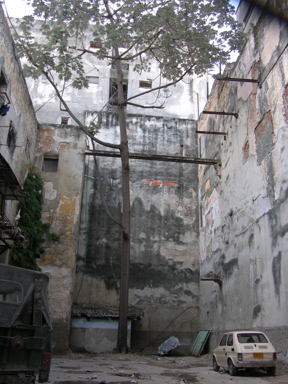dscn4244.jpg