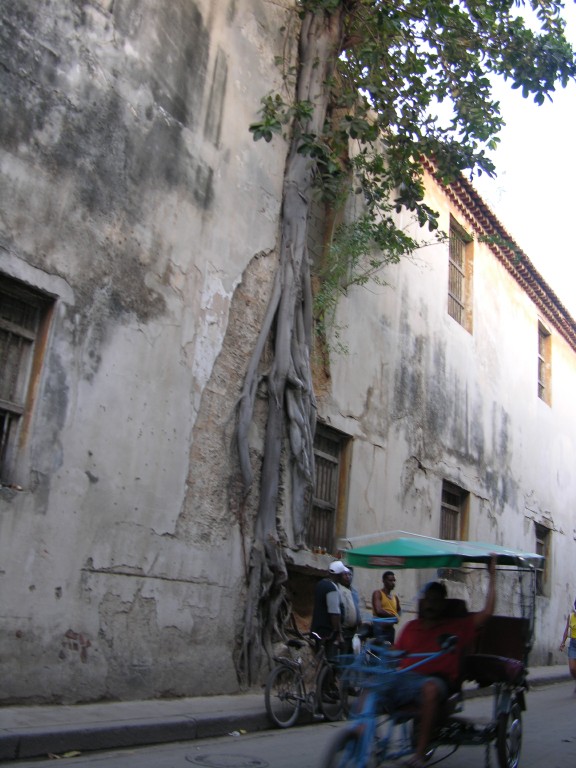 dscn4260.jpg