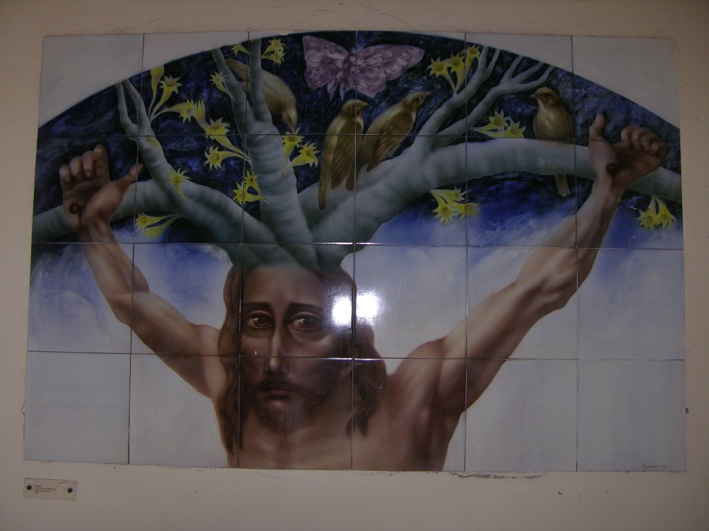 dscn4274.jpg