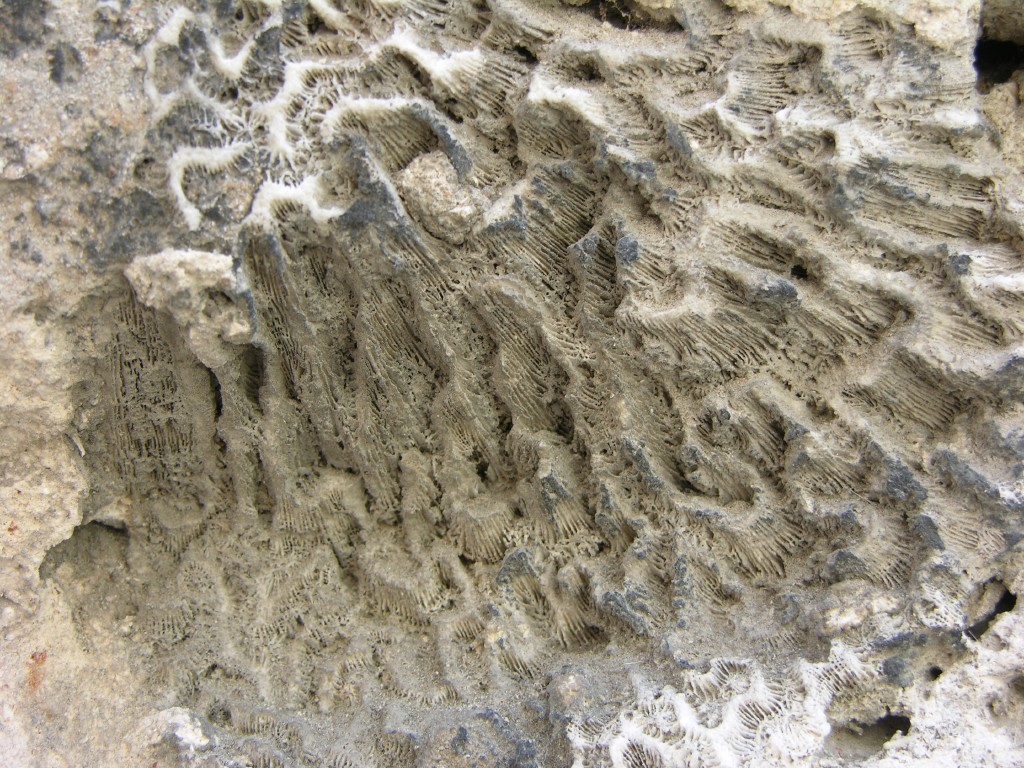 dscn4276.jpg