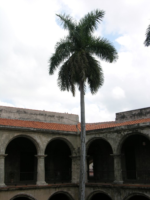 dscn4283.jpg