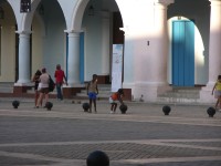 dscn4233.jpg