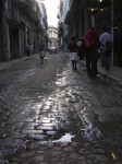 dscn4250.jpg