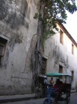 dscn4260.jpg