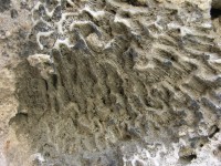 dscn4276.jpg