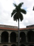 dscn4283.jpg