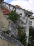 dscn4288.jpg