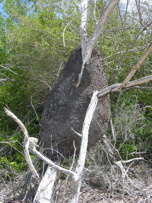 dscn4319.jpg
