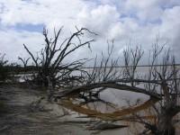 dscn4315.jpg