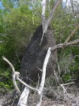 dscn4319.jpg