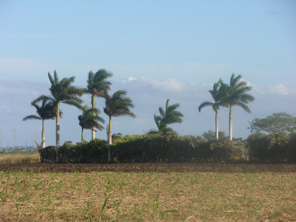 dscn4321.jpg