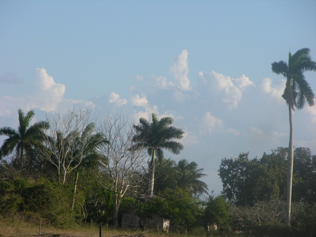 dscn4323.jpg