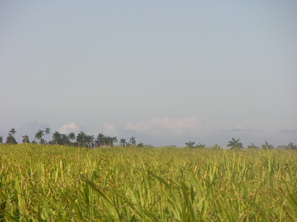 dscn4324.jpg