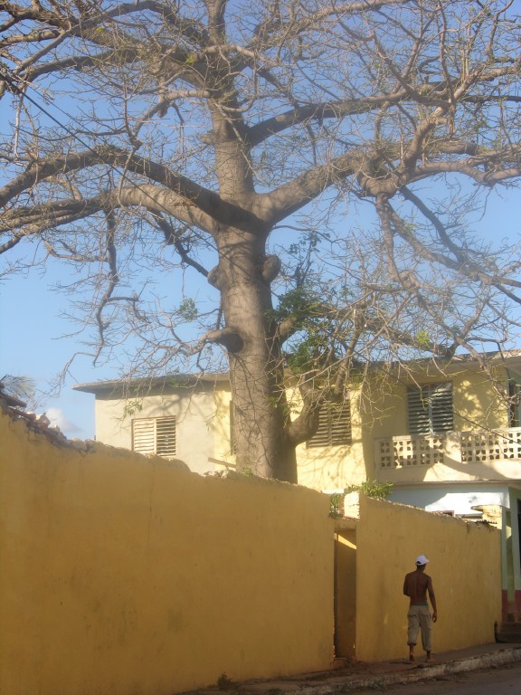 dscn4327.jpg
