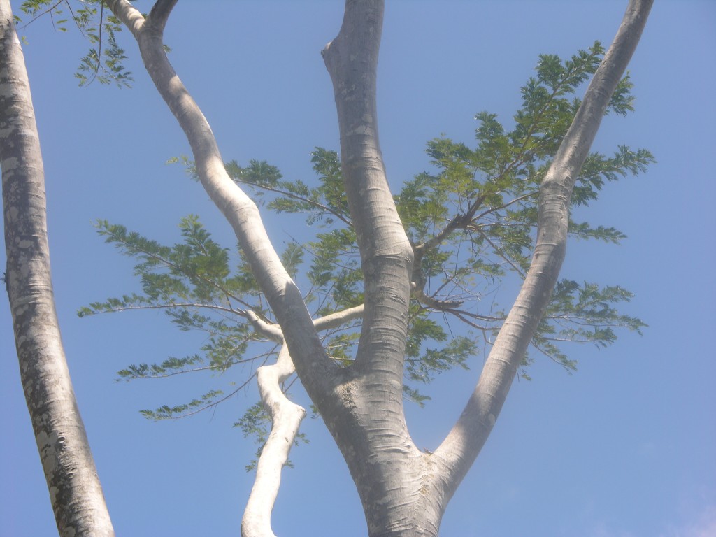 dscn4334.jpg