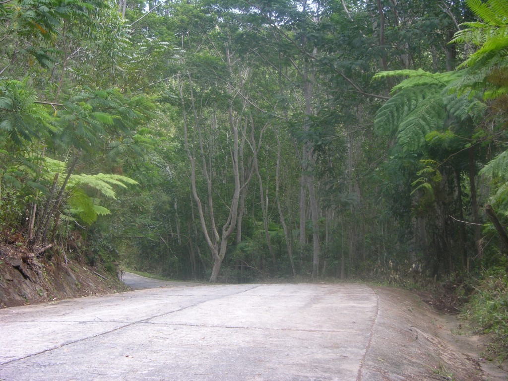 dscn4336.jpg