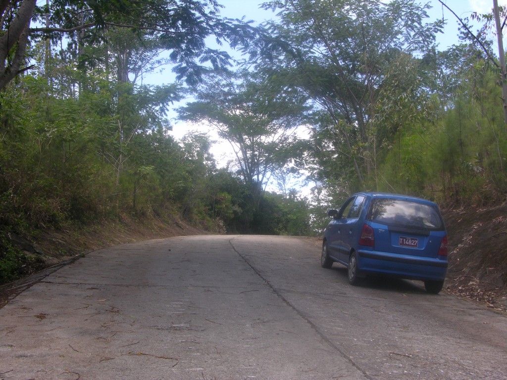 dscn4337.jpg