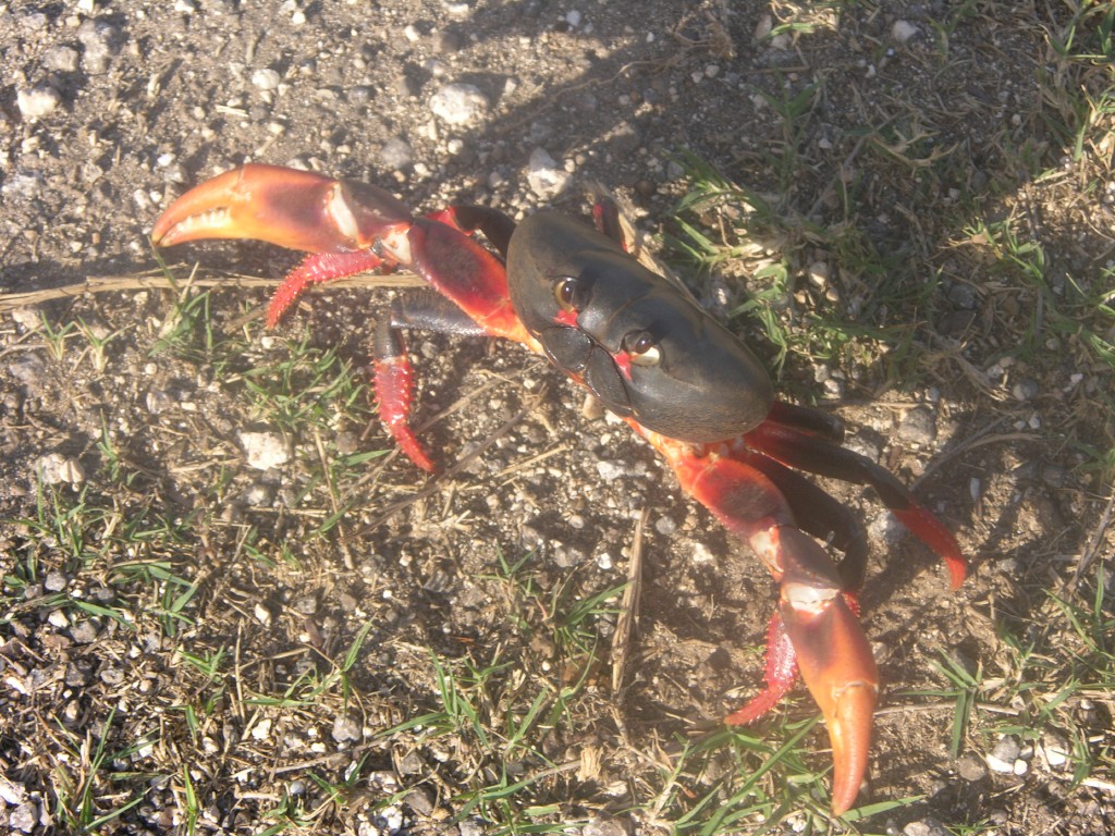 dscn4338.jpg