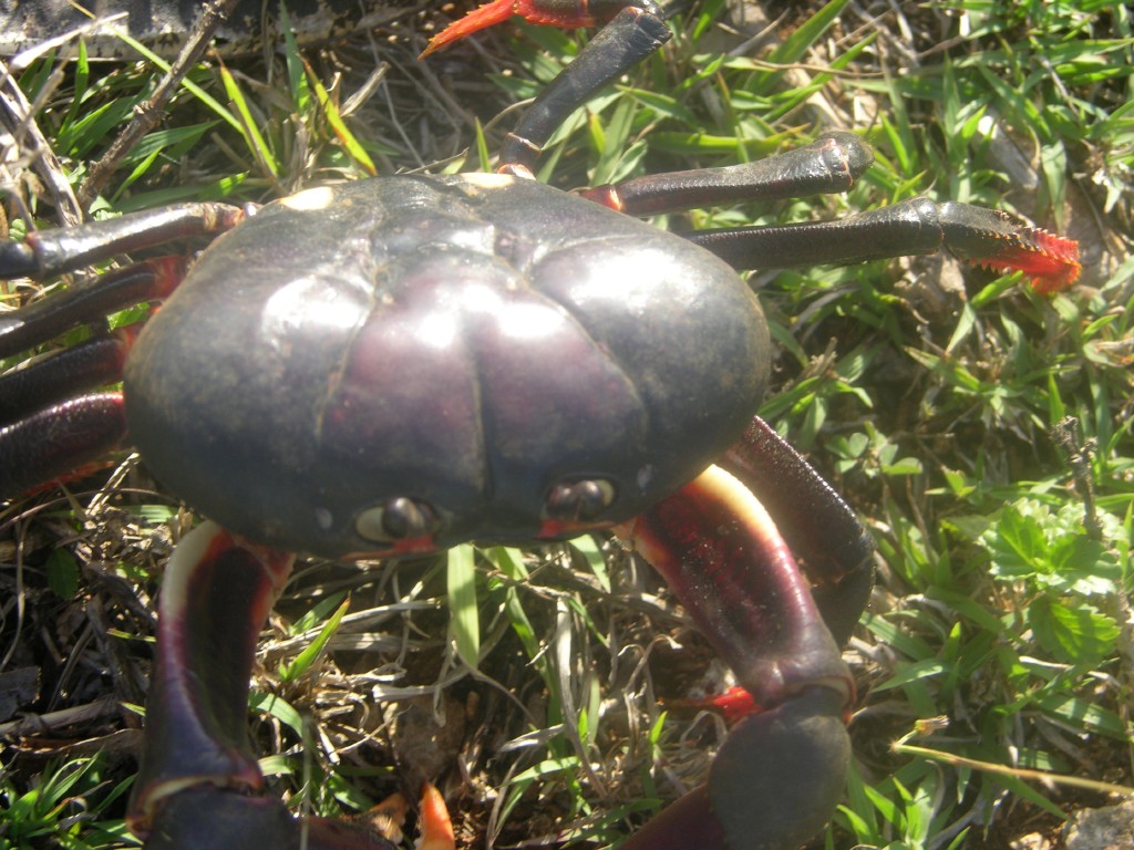 dscn4342.jpg